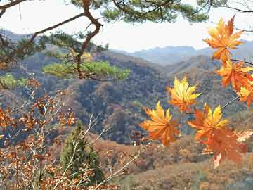 百性閣首頁最新地址，探索與體驗之旅