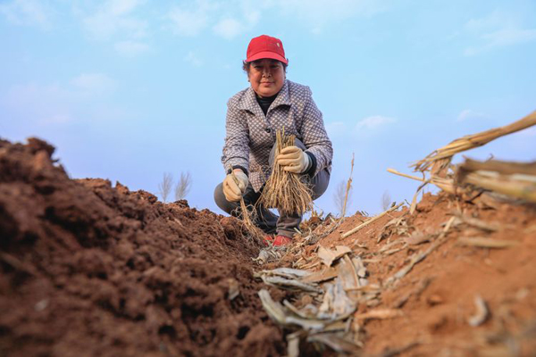 山西省長(zhǎng)治市屯留縣西賈鄉(xiāng)最新新聞報(bào)道匯總