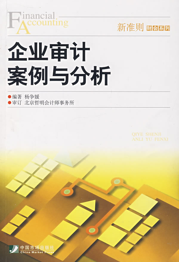 企業(yè)財(cái)務(wù)風(fēng)險(xiǎn)審查與應(yīng)對策略，最新審計(jì)案例分析