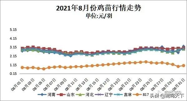 肉雞最新價(jià)格動(dòng)態(tài)解析報(bào)告