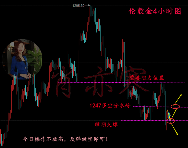 管家婆一碼一肖100中獎舟山,前瞻性戰(zhàn)略定義探討_Max32.169