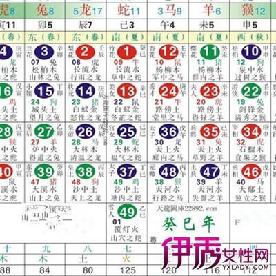 2024十二生肖49碼表,快捷方案問題解決_粉絲款75.994